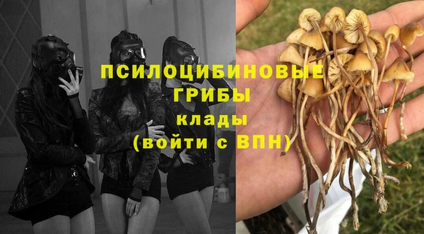 ALPHA PVP Абаза